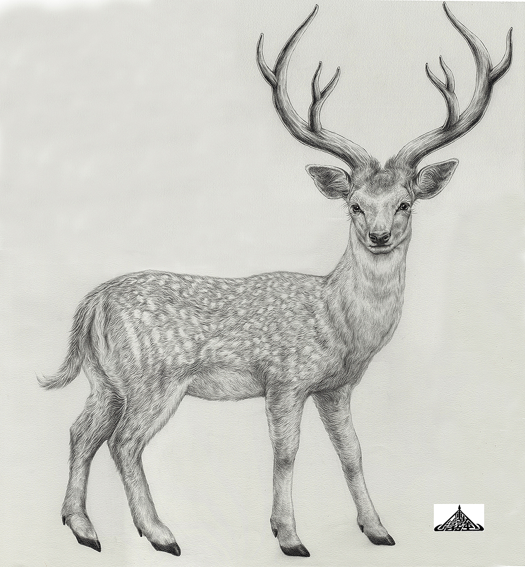 为“宫廷文化”绘制的素描风插画（图ZMzIxNTU0ODg4） - 商业插画 - 站酷设计师傅淳强画者之旅原创素材 - 站酷ZCOOL