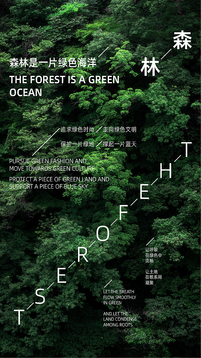 风景图片|板式设计