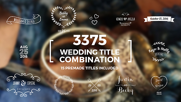 AE模板|优雅浪漫简约手绘婚礼照片电影综艺片头展示