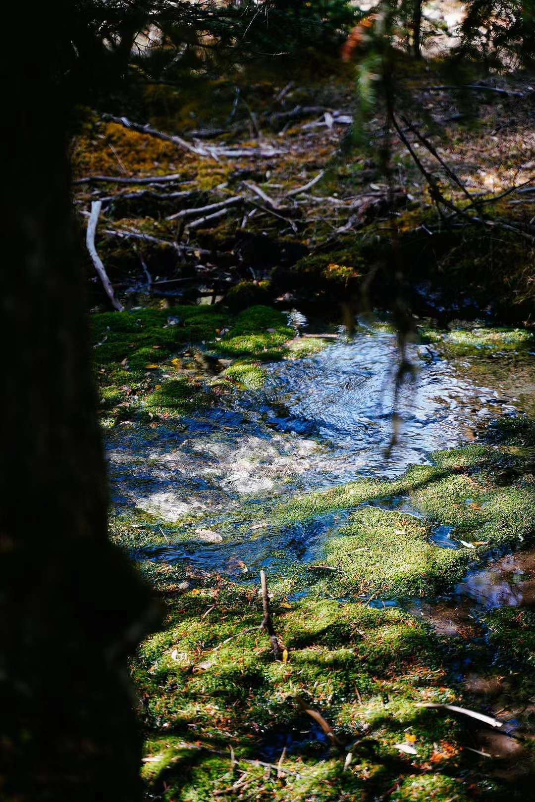 风光（图ZMzU3NjI5ODM2） - 风光摄影 - 站酷设计师税翔原创素材 - 站酷ZCOOL