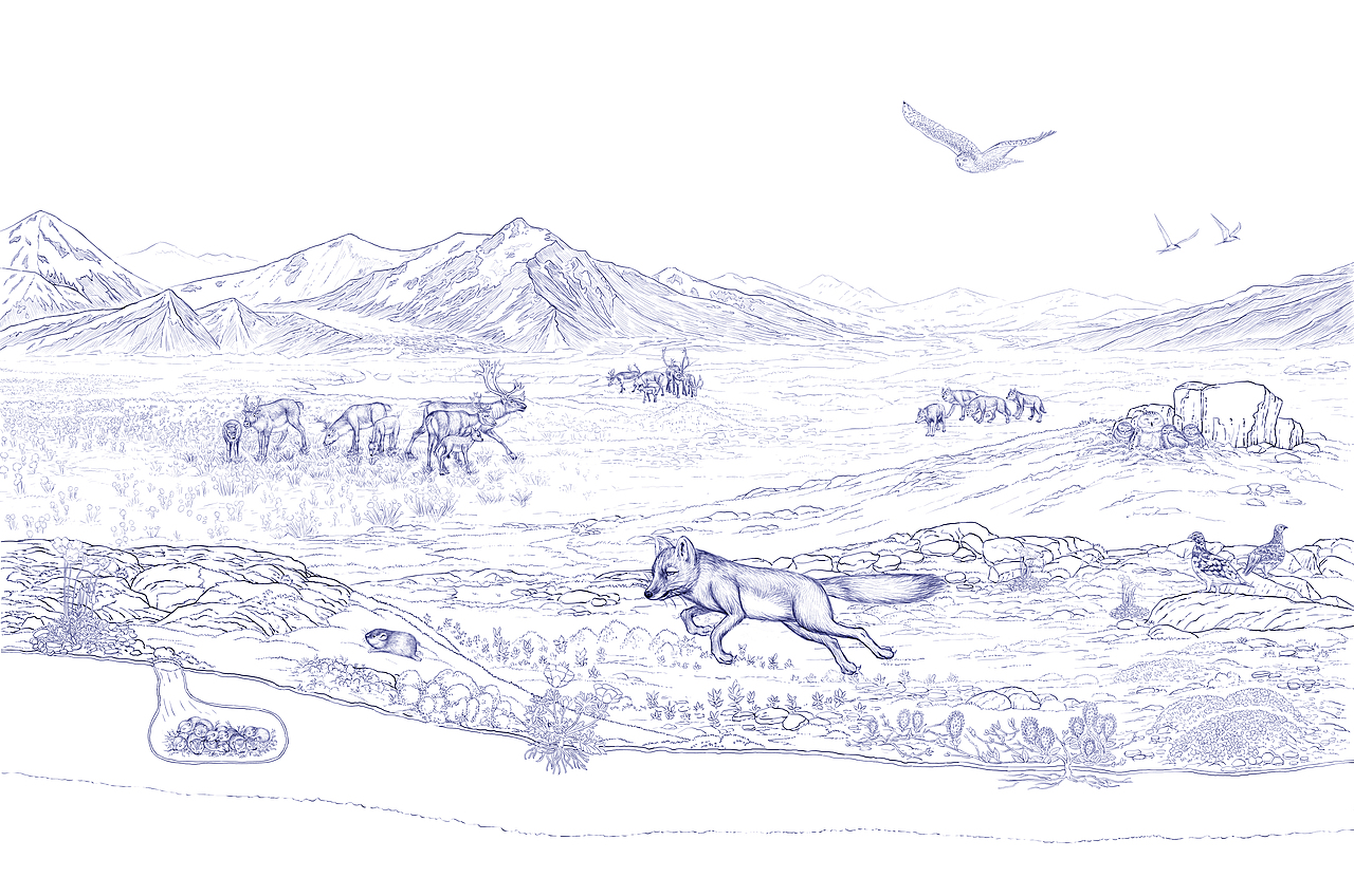 出版公司合作项目-线稿选页