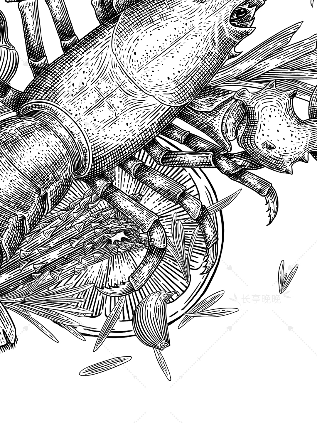 百合花/虾——商业插画版画风（图ZMzY4MTMwNDky） - 商业插画 - 站酷设计师长亭晚晚原创素材 - 站酷ZCOOL