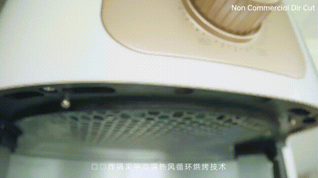 空气炸锅 X 《一锅百用》X Dir Cut