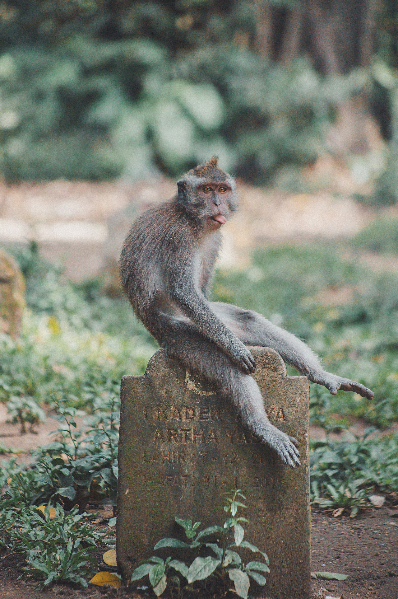 印度洋吹来的风【巴厘岛】