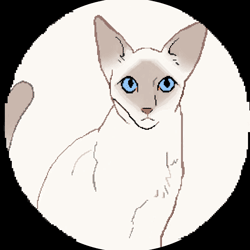 猫咪表情包 --暹罗上班中