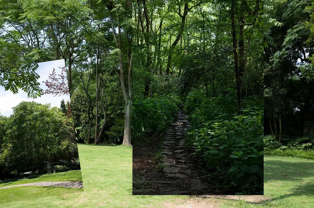 adidas original adidas neo deepblue