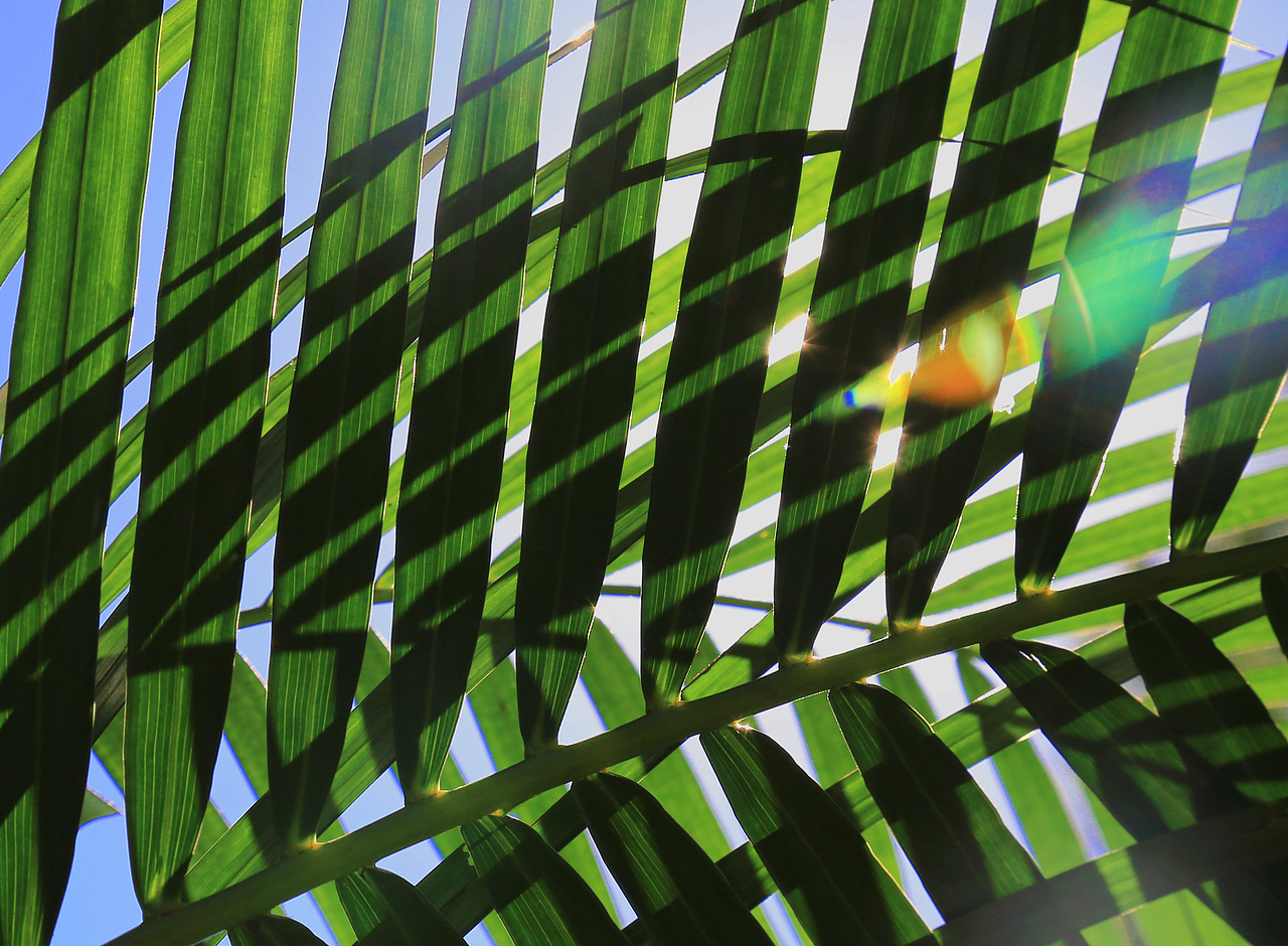 欲望(desire)——
<br>根源于人的一种倾向,人们倾向于在想象中对自己的生活加以渲染,陷入对某些人或目标的迷恋,因为这些对象看起来似乎具有某种我们自感缺乏的价值,他们象征着某种我们竭力追求而不得的完美和充实。<br><br>“欲望”囊括需求层次理论中的归属和爱(belongingness and love need)、尊重(esteem need)、认知(Cognitive needs)、审美(Aesthetic needs)、自我实现(self-actualization need)以及超越(Transcendence needs)的需要,往往远超现实目标,难以被满足或无法被真实满足。<br><br>不切实际的“欲望”不可避免地导向一种“摹仿性欲望”的模式:出于对更为完美和充实存在的渴慕,人们亦步亦趋地模仿他人的欲望,在赋予他人至高无上神性的同时抬高欲望的价值,极力想要达成一些在羡煞、眼红甚至嫉妒心理下催生的目标。