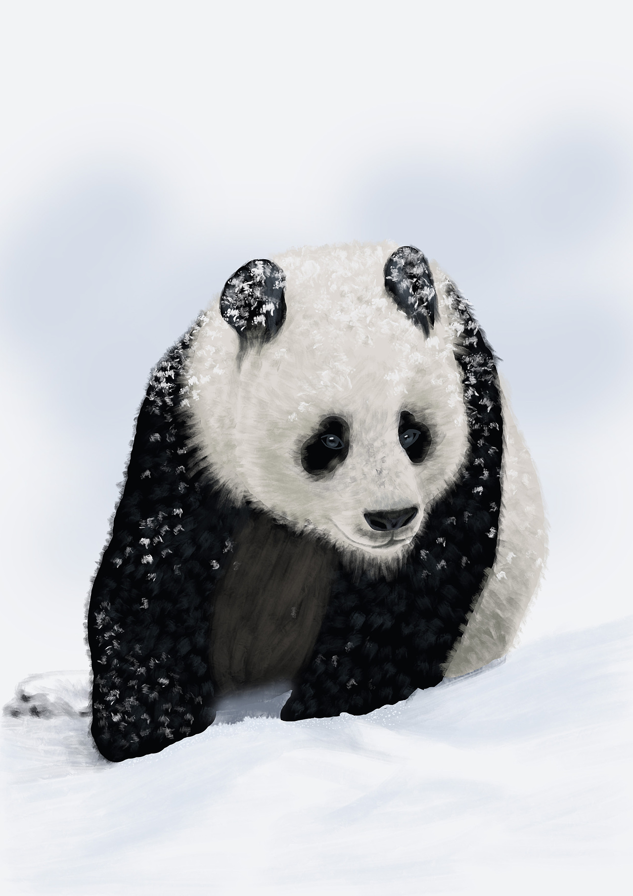 小动物和下雪天更配-熊猫（图ZMzMwMjg0MTA0） - 创作习作 - 站酷设计师琴心雅意原创素材 - 站酷ZCOOL