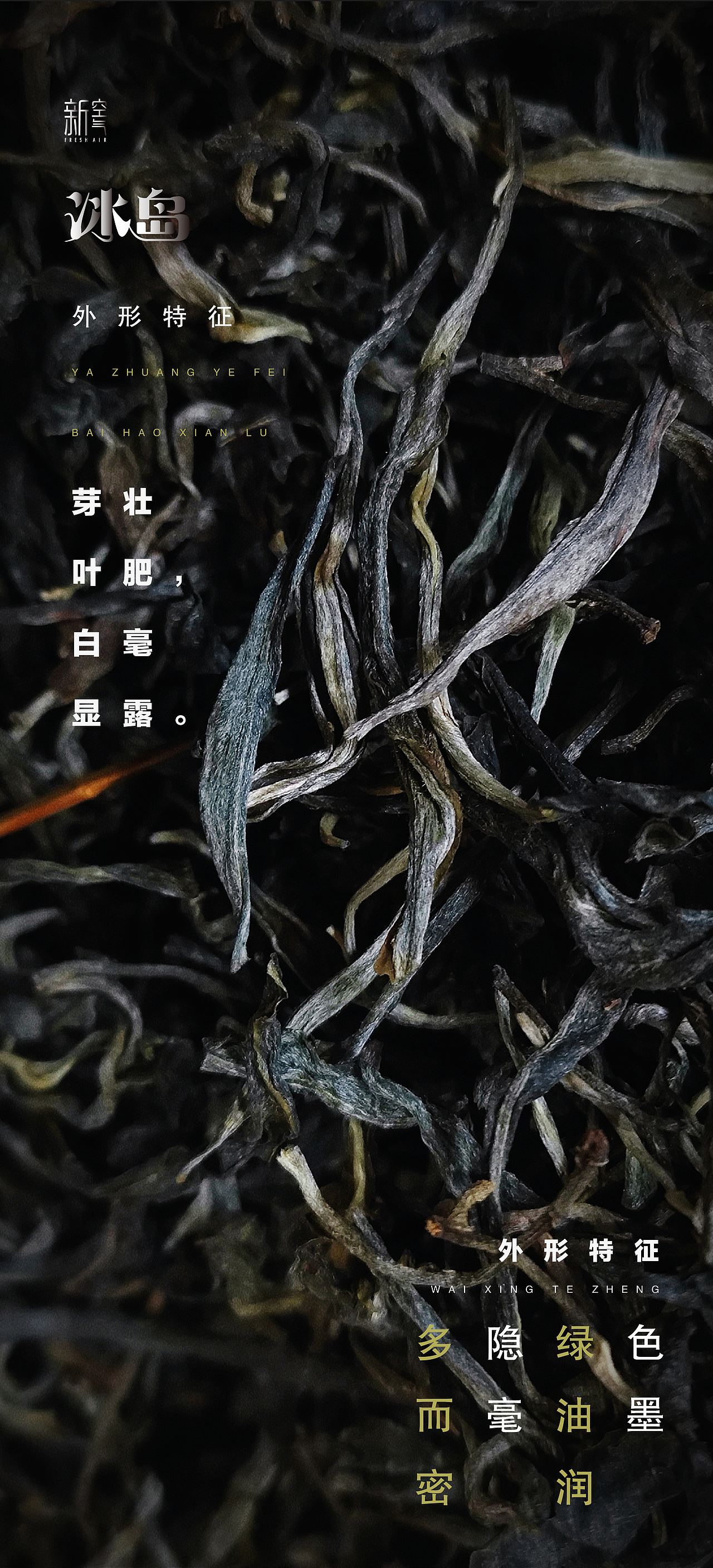 冰岛-包装设计、产品宣传全案设计