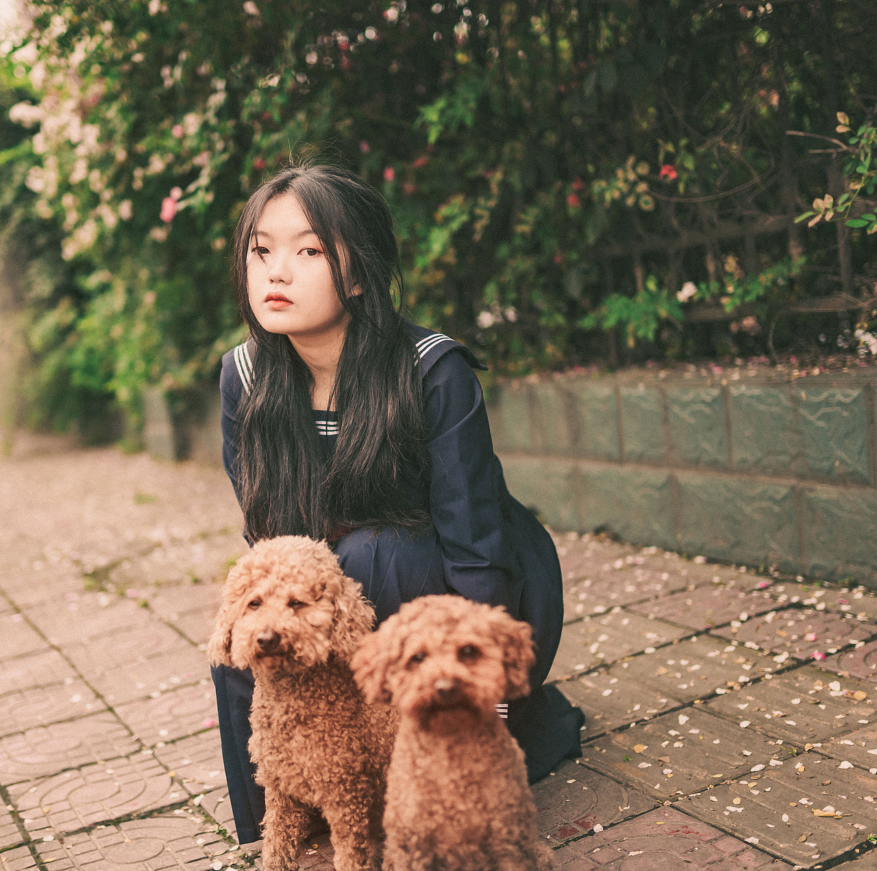 蔷薇花开（图ZMzQzMjQxOTA4） - 人像摄影 - 站酷设计师鹅黄毛球原创素材 - 站酷ZCOOL