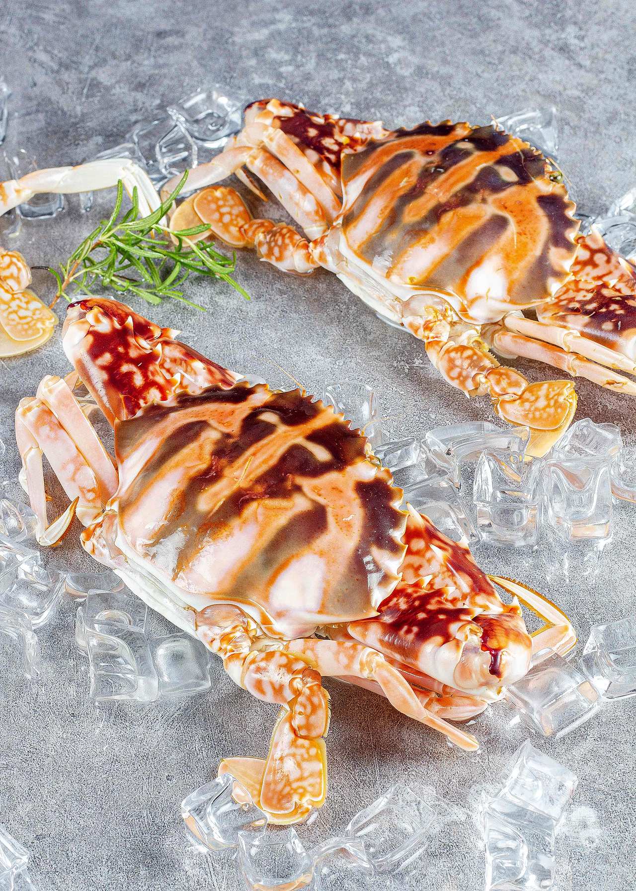 【海鲜摄影】红花蟹