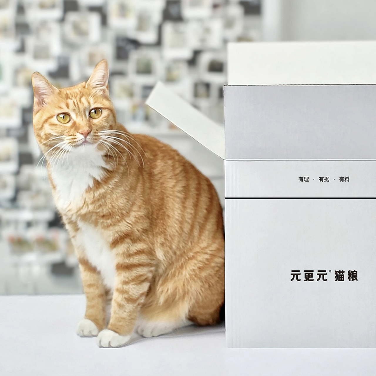 元更元猫粮品牌形象设计（图ZMzMxNDM4OTM2） - 品牌 - 站酷设计师OneByOneLab原创素材 - 站酷ZCOOL