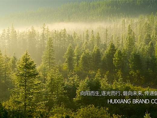 回享标志