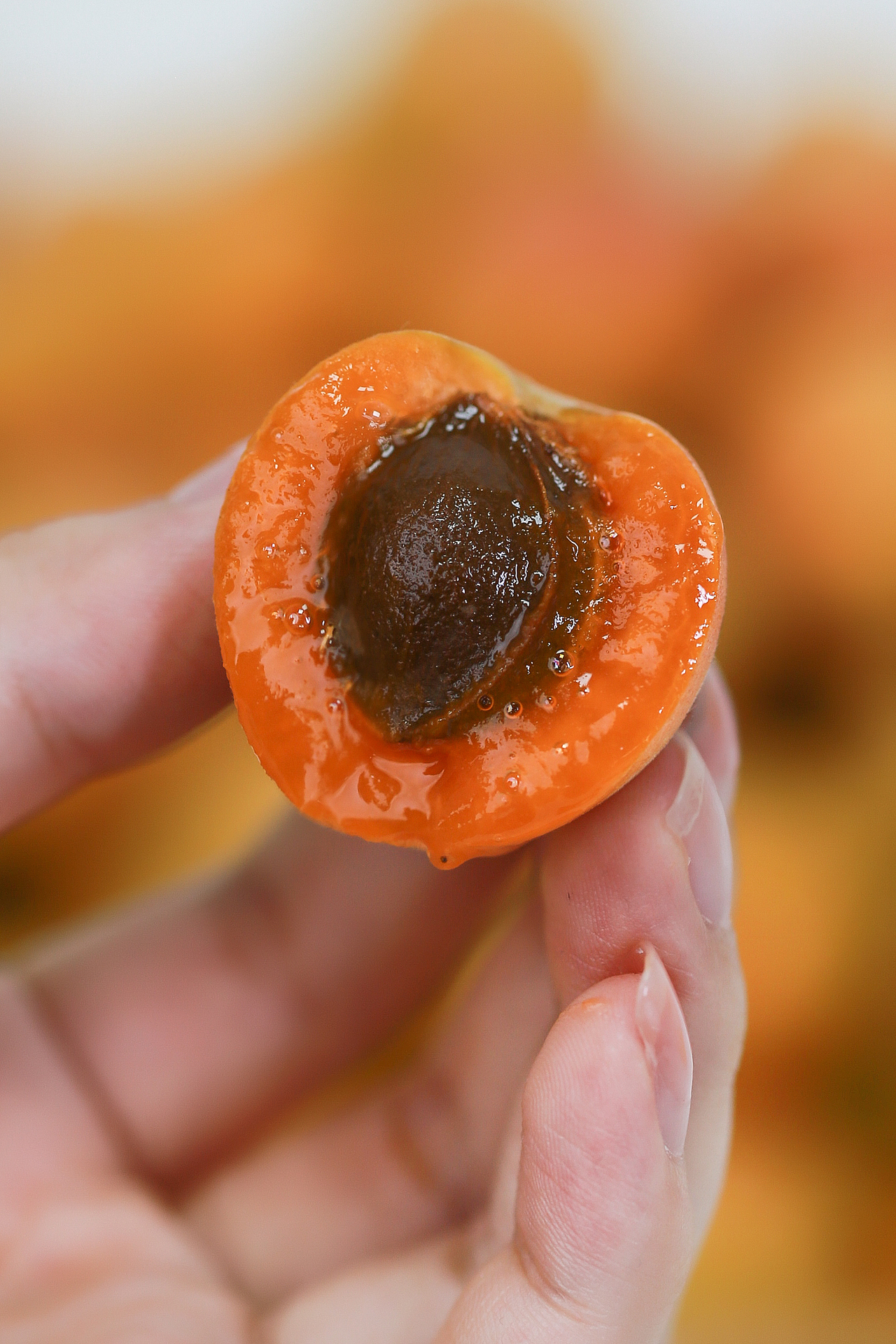 新疆小红杏图片拍摄（图ZMzYyNzEwNTM2） - 美食摄影 - 站酷设计师_Rambozz原创素材 - 站酷ZCOOL