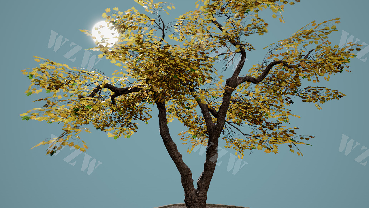 花草树木|SpeedTree|植物制作的阶段性成果展示（图ZMzYzMDEzNDA0） - 场景 - 站酷设计师旋律S原创素材 - 站酷ZCOOL