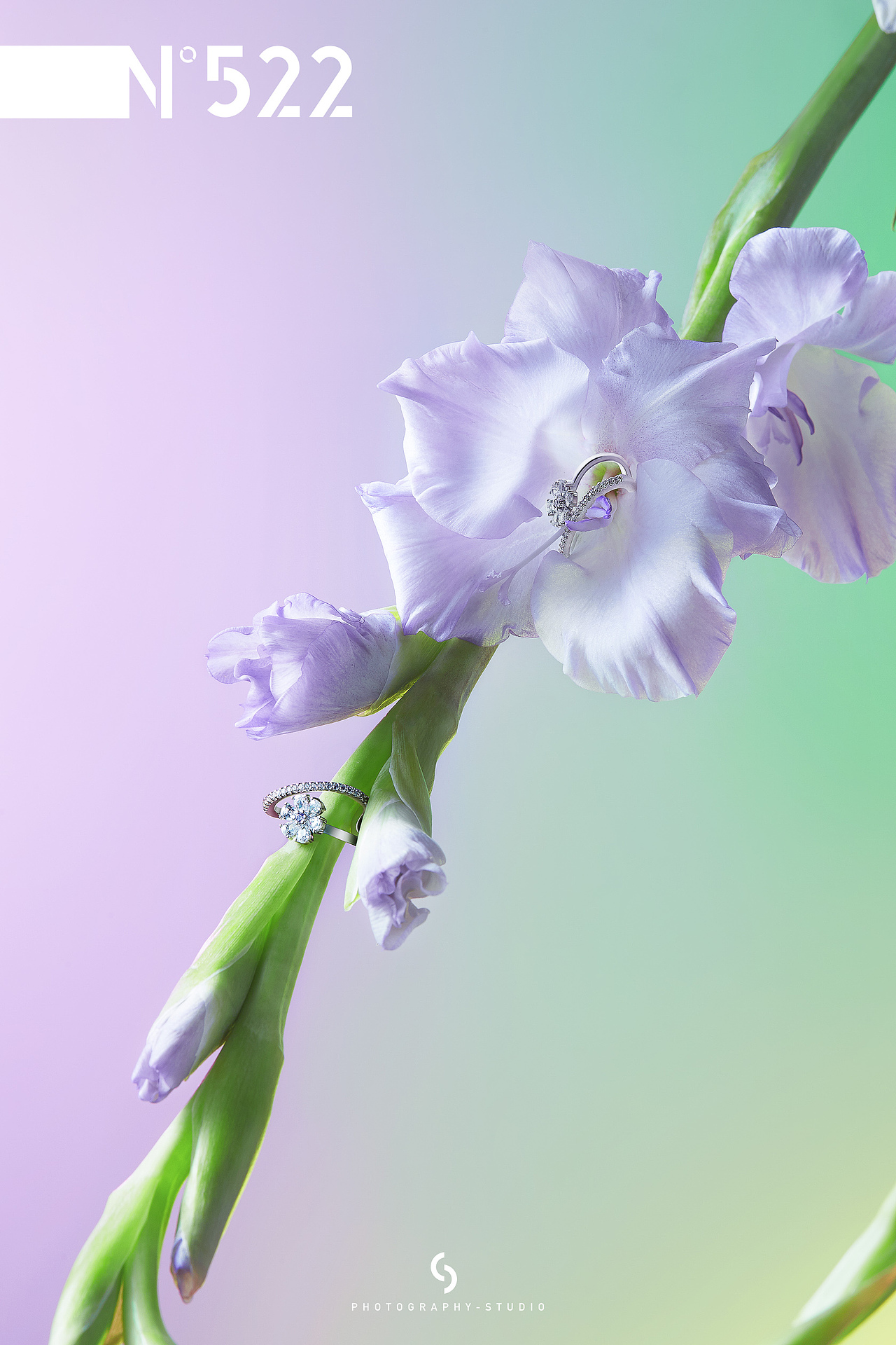 首饰摄影 | 自然幻想 X 花灵秘境