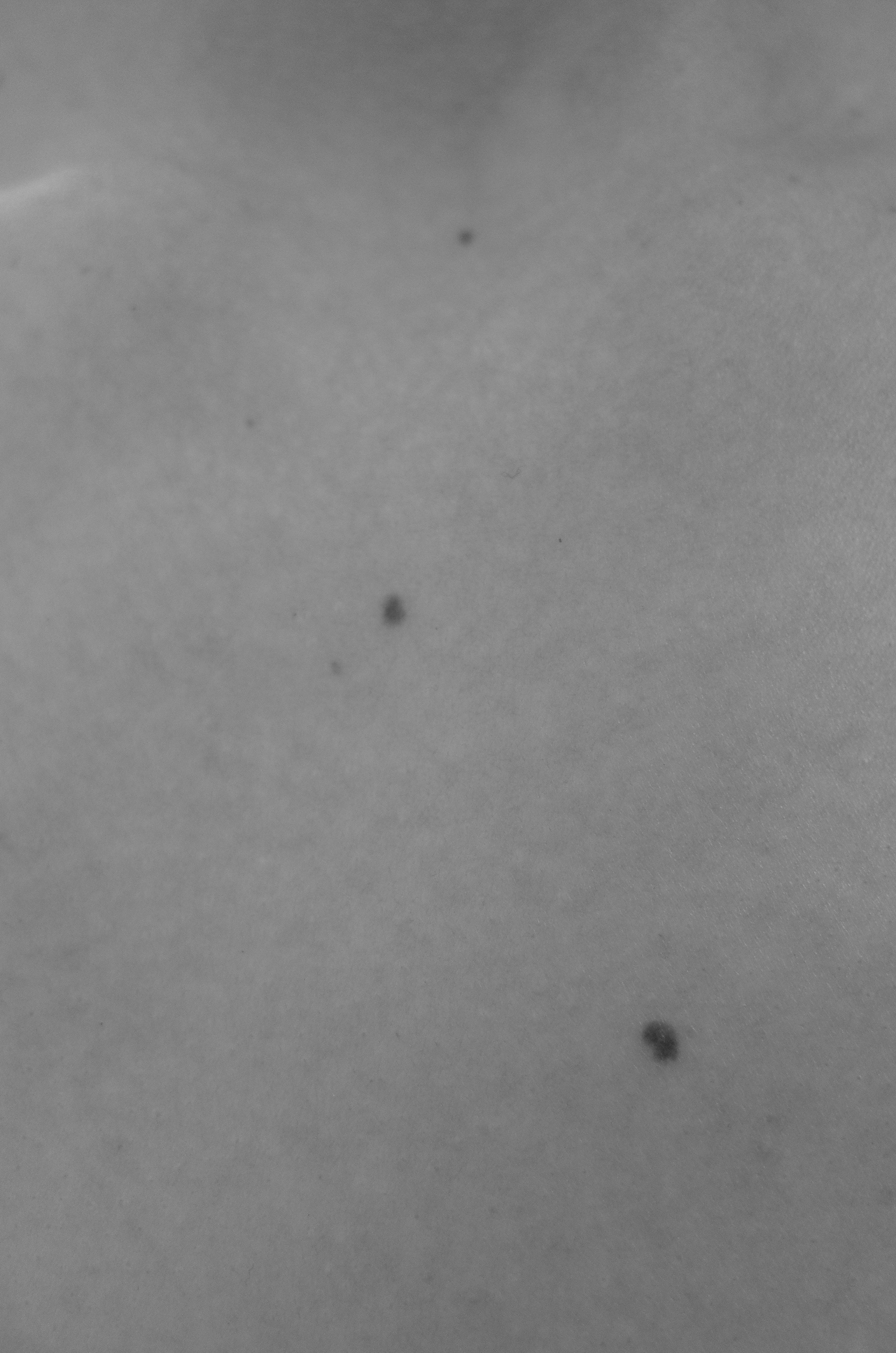 做个诚实的记录者