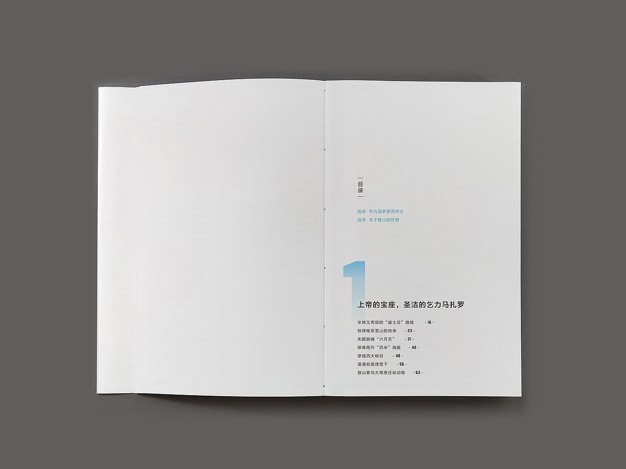 在人生的更高处相逢-雪山攀登实录