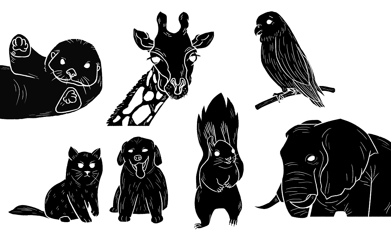 不错实验室潮流插画魔鬼训练营作业合集