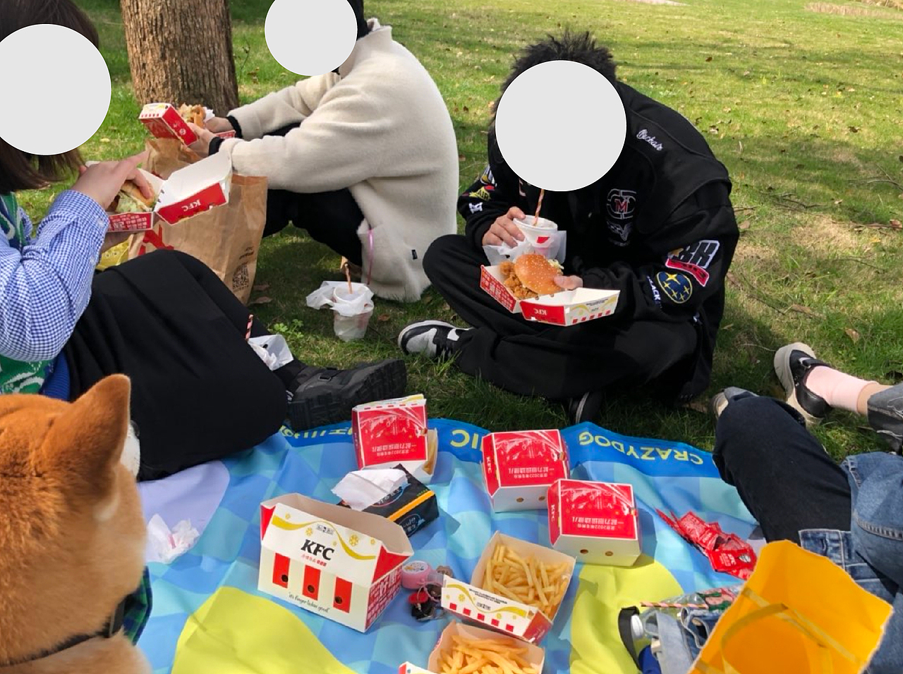 2021疯狂小狗公关野餐礼盒（图ZMzQ1MTQyNzQ0） - 品牌 - 站酷设计师花花HaHa花原创素材 - 站酷ZCOOL