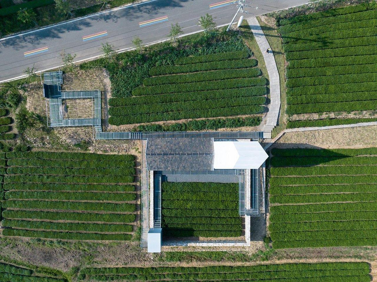 ▼从茶田看向茶馆