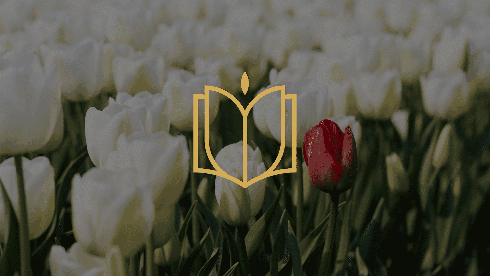 陇韵书香节logo方案（图ZMzQyOTYzMzQ0） - Logo - 站酷设计师谢oO原创素材 - 站酷ZCOOL