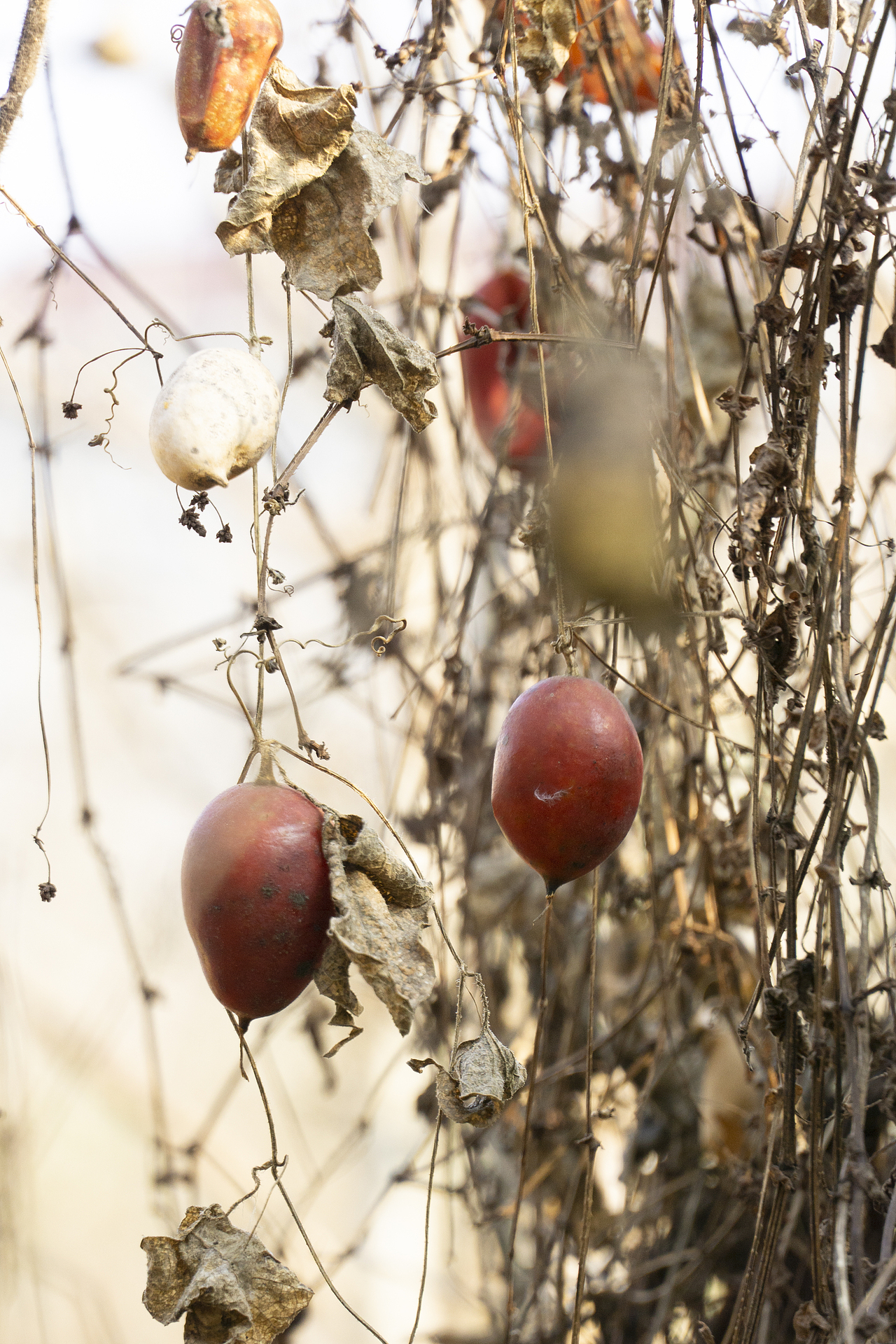与 光 同 尘（图ZMzYwNjc1MTYw） - 风光摄影 - 站酷设计师程小灰啊原创素材 - 站酷ZCOOL