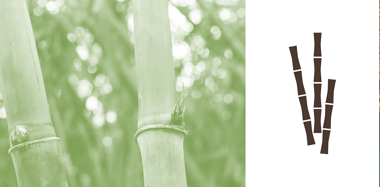 SHAKESHACK 成都 限定麻将（图ZMzIzNTc5MTg0） - 包装 - 站酷设计师MantinStudio原创素材 - 站酷ZCOOL