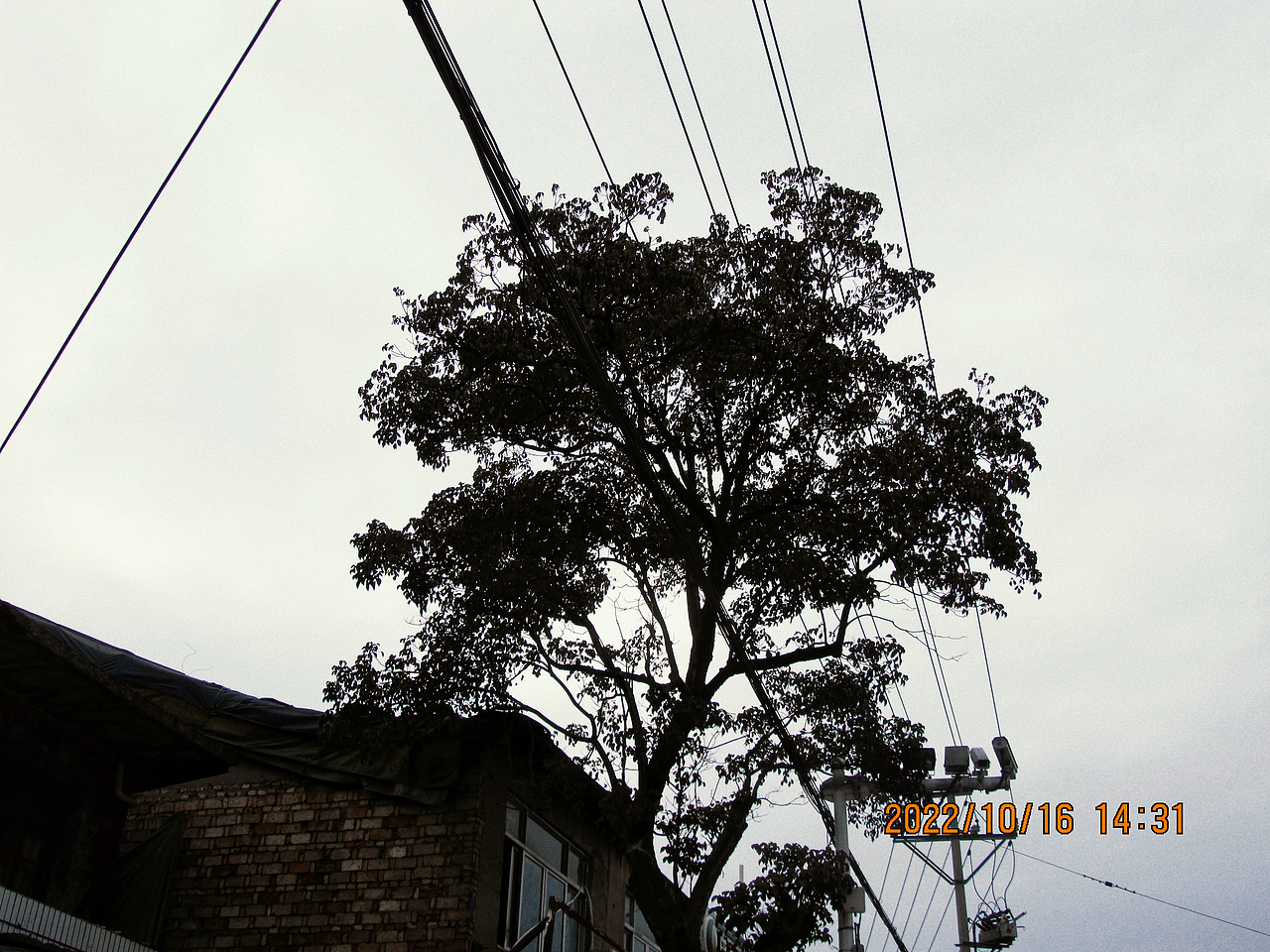 CCD的记忆（图ZMzUxMzY5MzQw） - 风光摄影 - 站酷设计师OP泡泡果奶原创素材 - 站酷ZCOOL