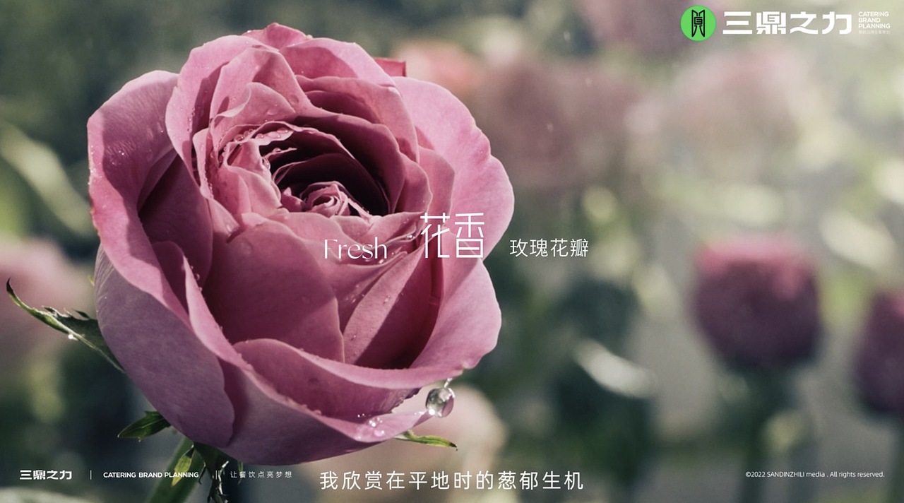 美食视频 | 东莞万科瑧山汇 X 三鼎之力品牌全案策划