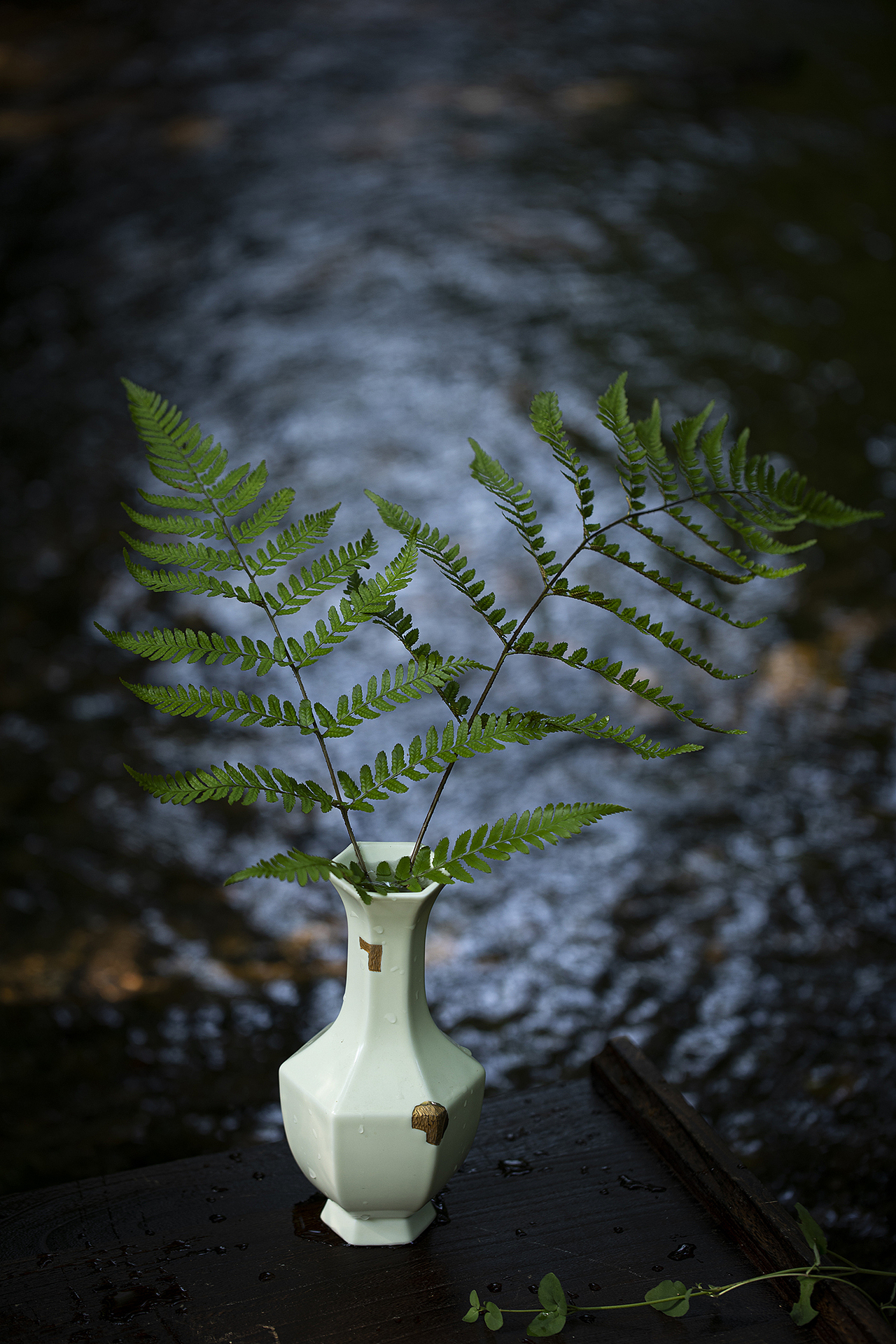 夏天的味道|茶饮（图ZMzA0NTAyMTg4） - 产品摄影 - 站酷设计师丰墨原创素材 - 站酷ZCOOL