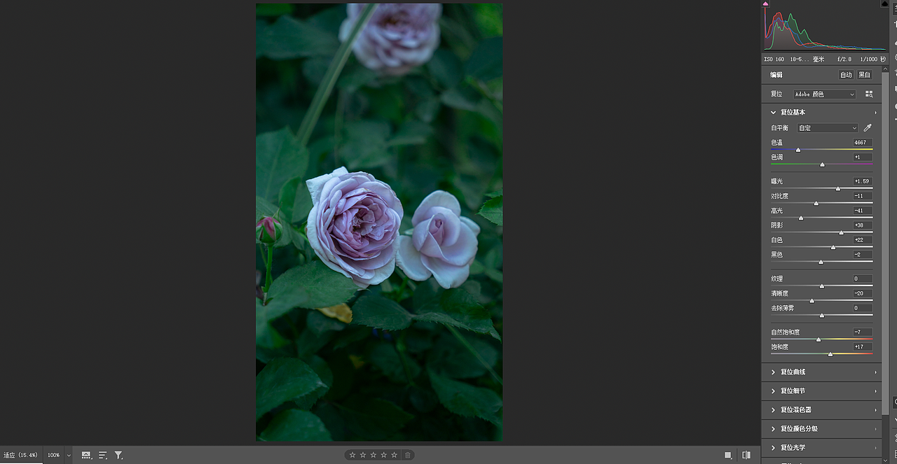 风景图/Lut滤镜/照片调色