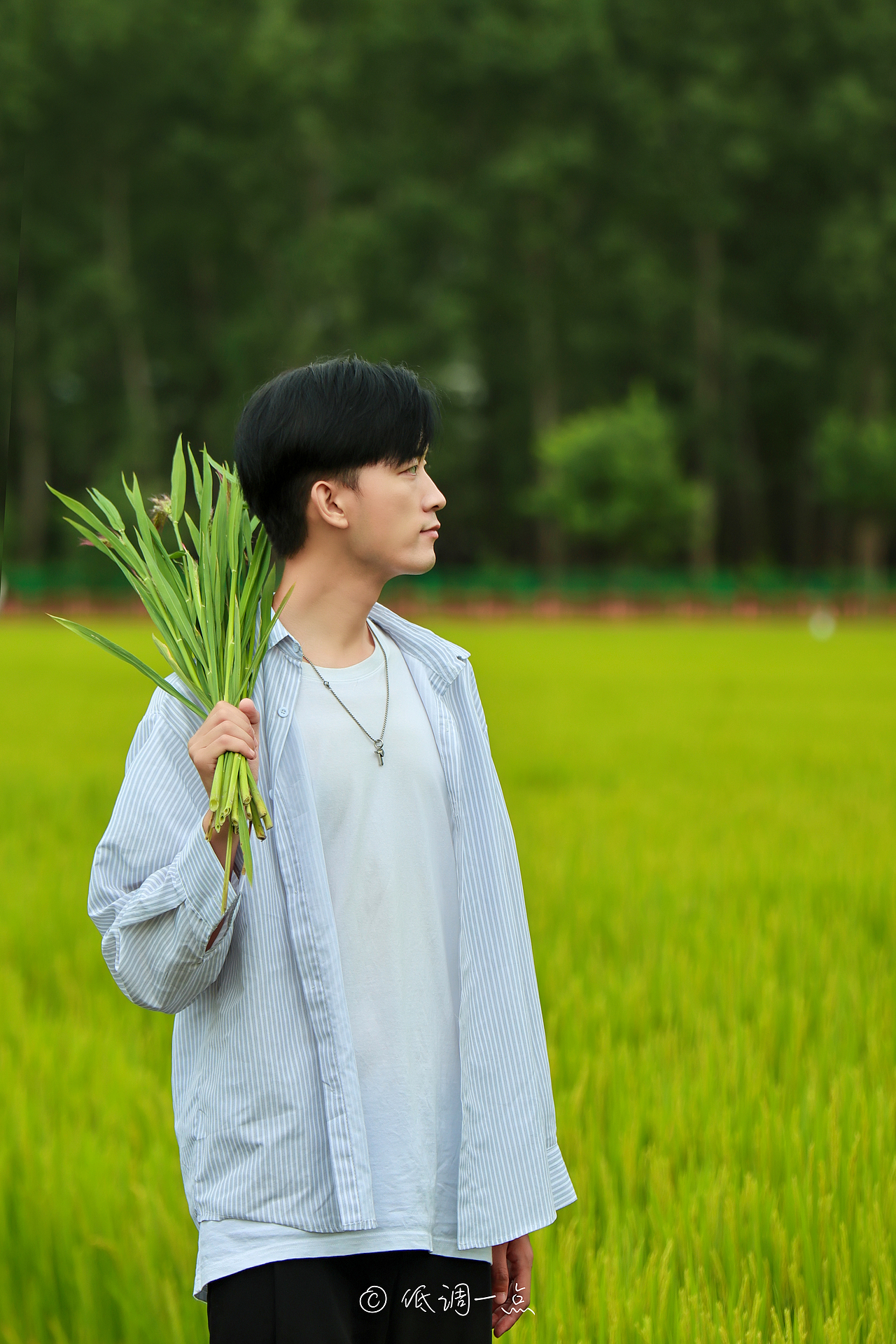 摄影 | 在希望的田野上