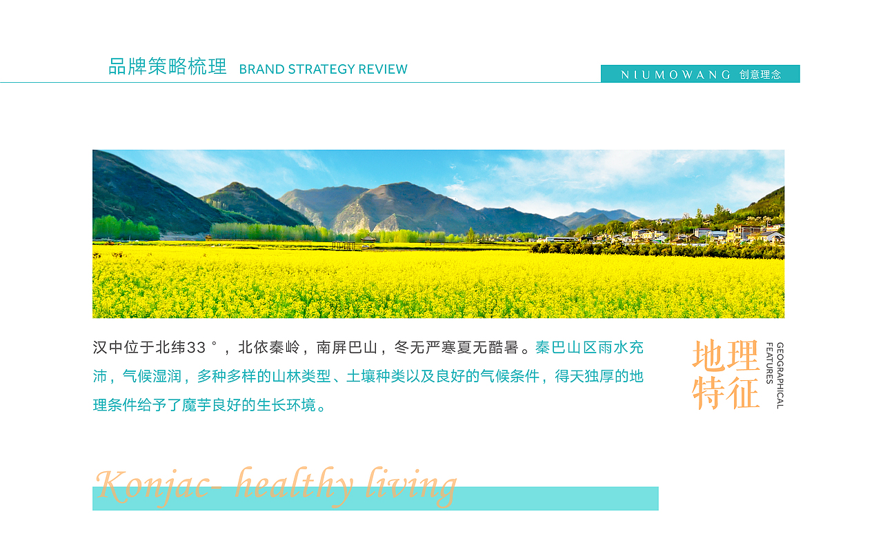 魔芋面皮包装设计（图ZMzQ3NDk1NTg4） - 包装 - 站酷设计师ningbo19841125原创素材 - 站酷ZCOOL