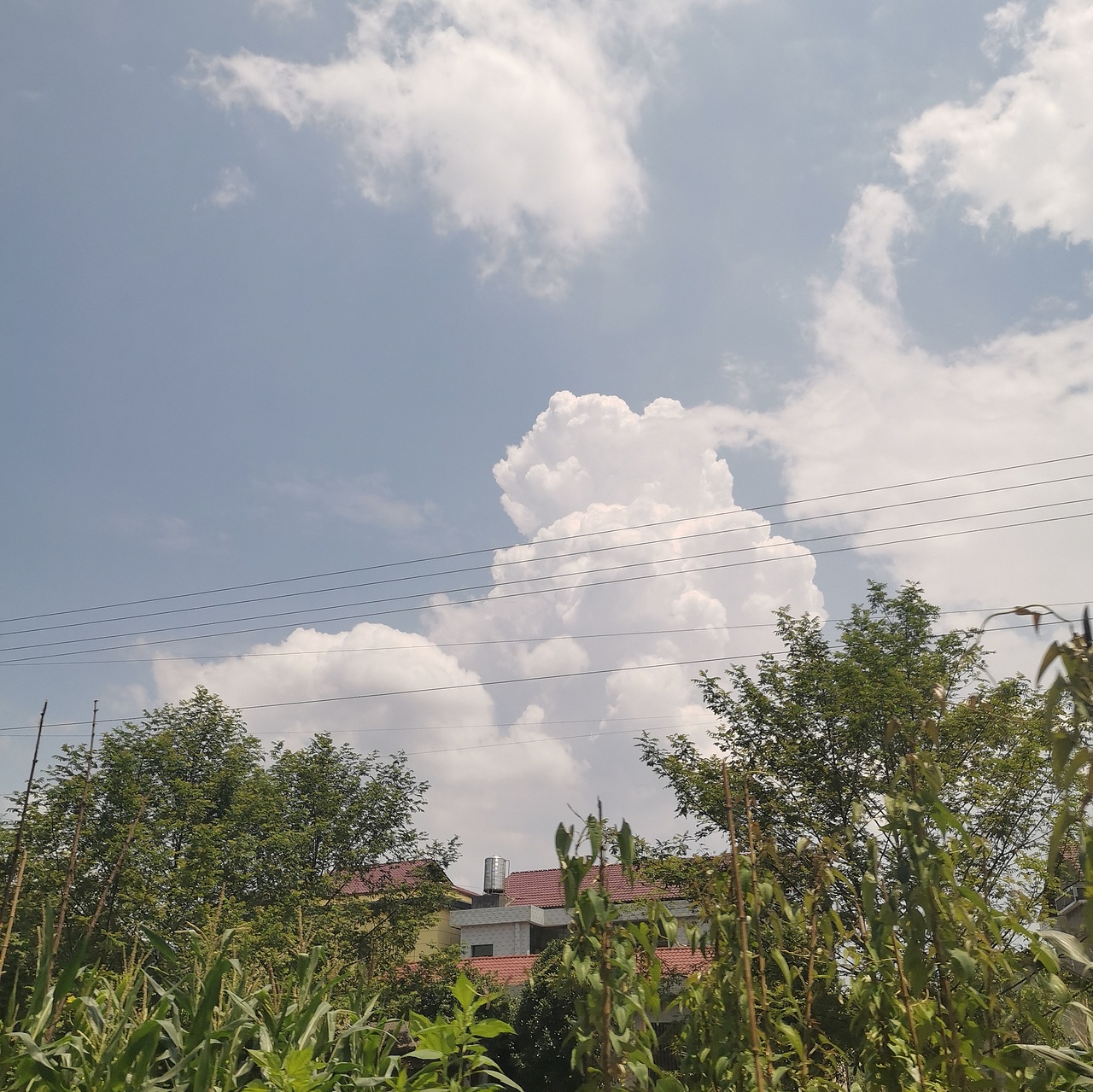 夏天怎么能少了云朵呢