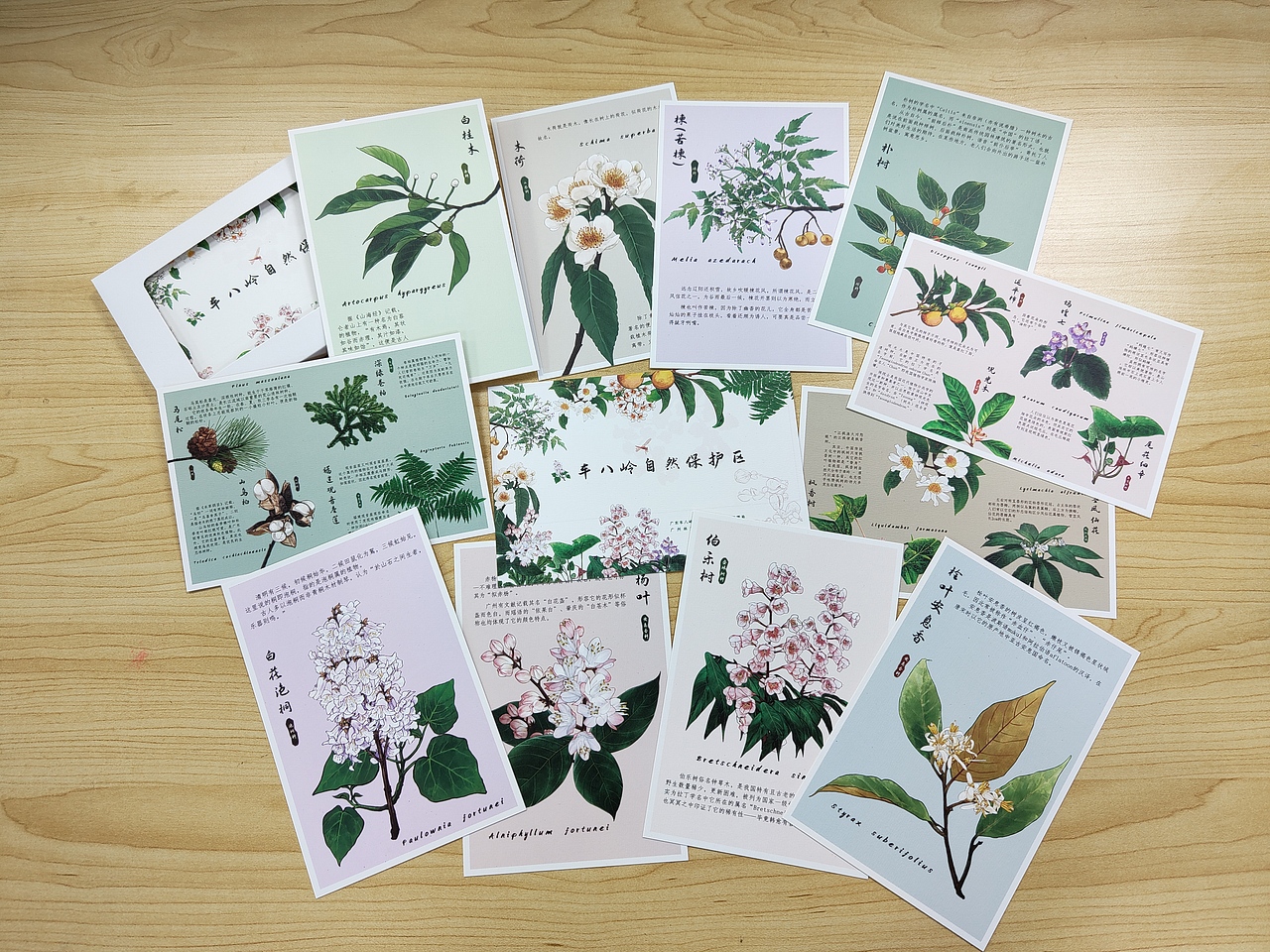 插画文创周边——植物篇（图ZMzAzODk0OTky） - 品牌 - 站酷设计师懒九五原创素材 - 站酷ZCOOL