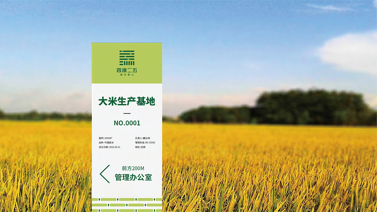 四挑二五重庆璧山农产品销售平台标志设计