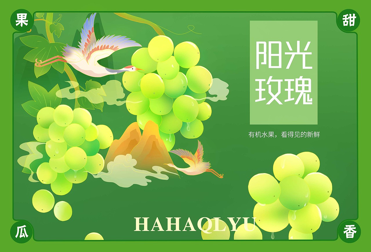礼盒包装插画——葡萄