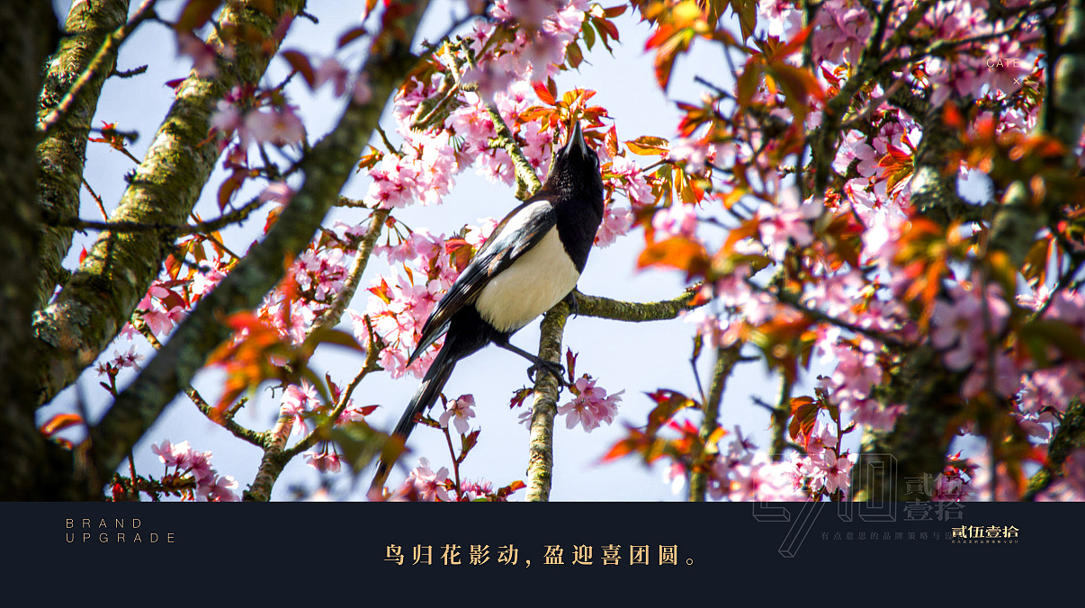 熙客湖北菜x贰伍壹拾 | 稀客来,来熙客