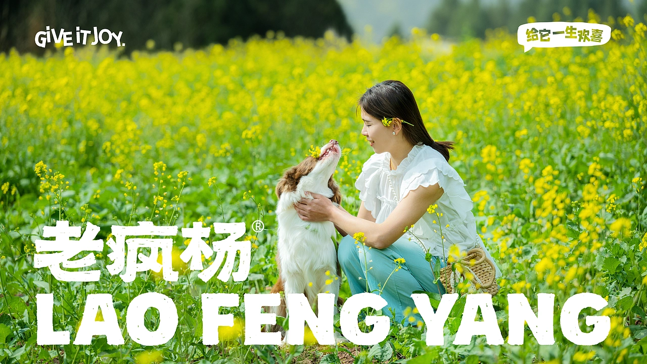 《老疯杨》宠物品牌全案设计——给它一生欢喜