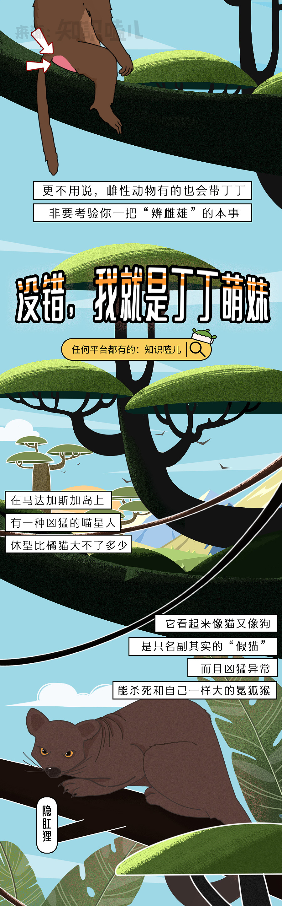 少女扶她?男装大佬?动物界真会玩…