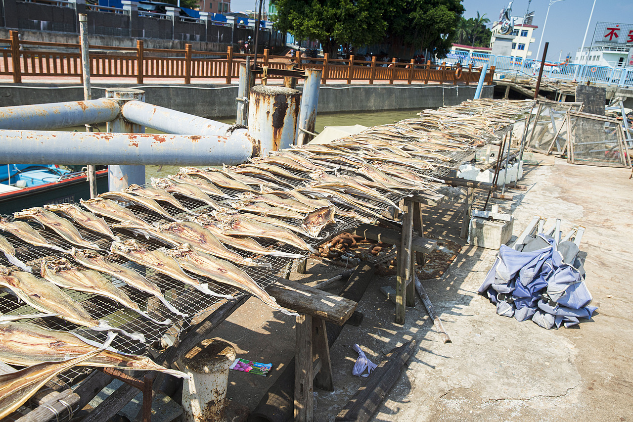莲花山码头广州风景