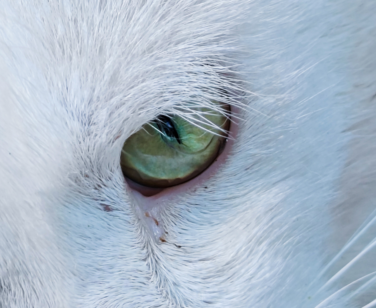 手机摄影|生活色彩