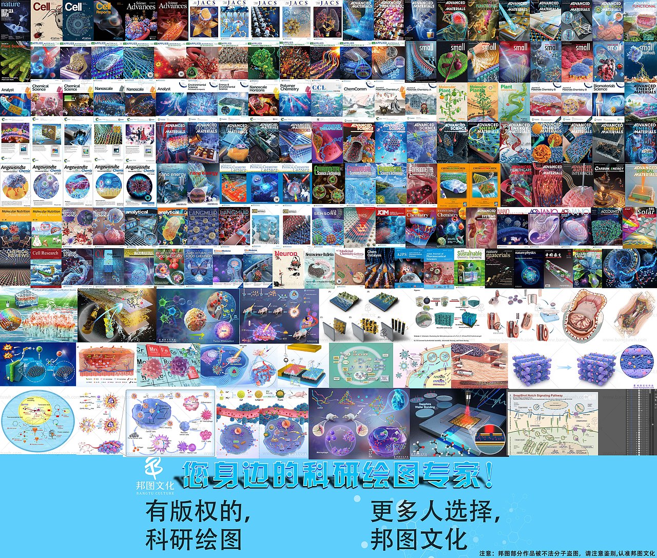 医学插画 学术期刊封面设计 科研绘图