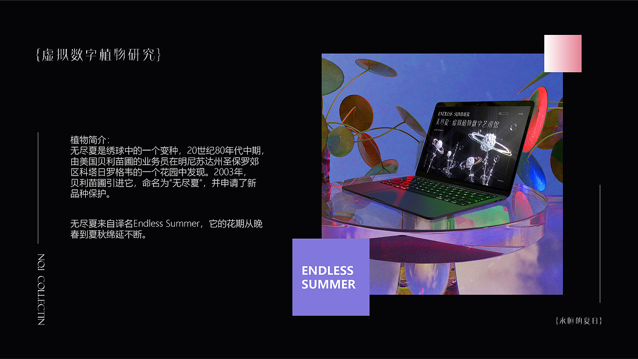 无尽夏虚拟植物数字艺术馆视觉设计（图ZMzM4MTk2MjM2） - 其他三维 - 站酷设计师橙茜原创素材 - 站酷ZCOOL