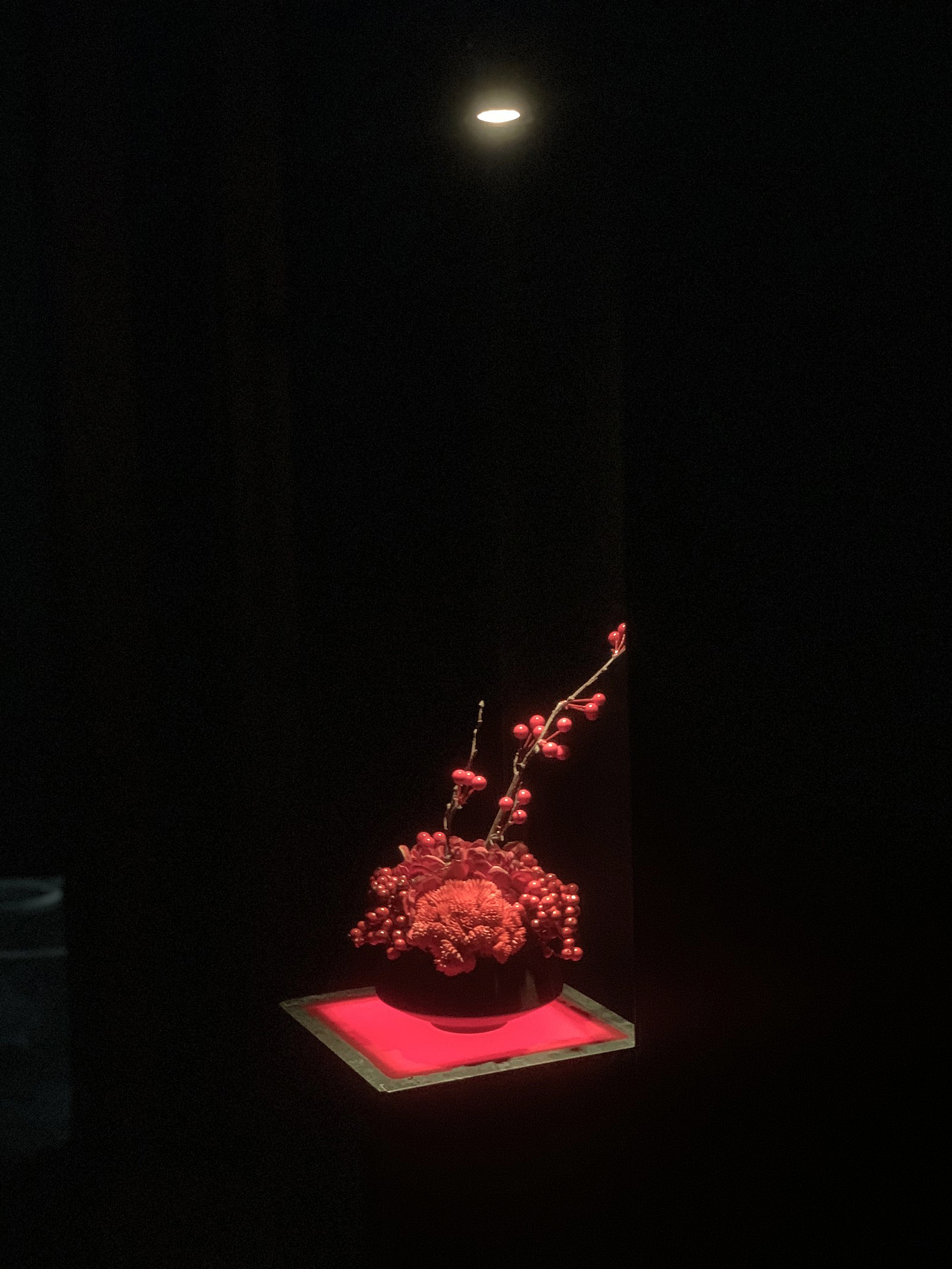 朴墨设计丨云古里养生