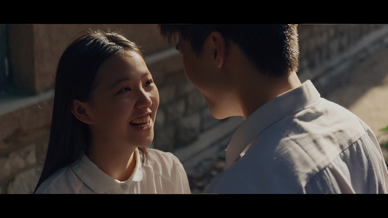 春风十里燕双飞