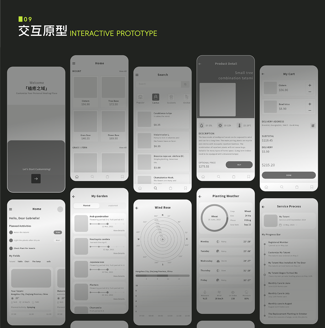 中国美术学院丨创新设计学院丨程同学丨向量设计