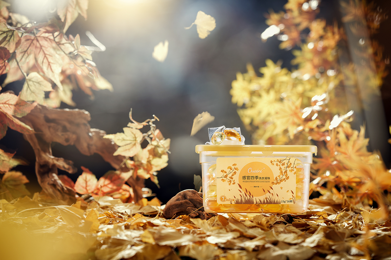 落叶-秋（图ZMzI0OTU2ODAw） - 产品摄影 - 站酷设计师天之韵摄影原创素材 - 站酷ZCOOL