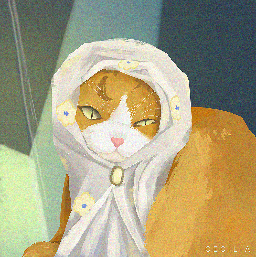 速涂打卡13-猫纱